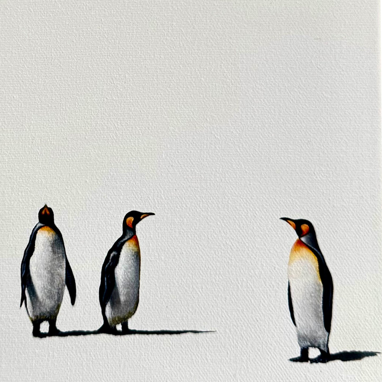 Penguin Group Chat