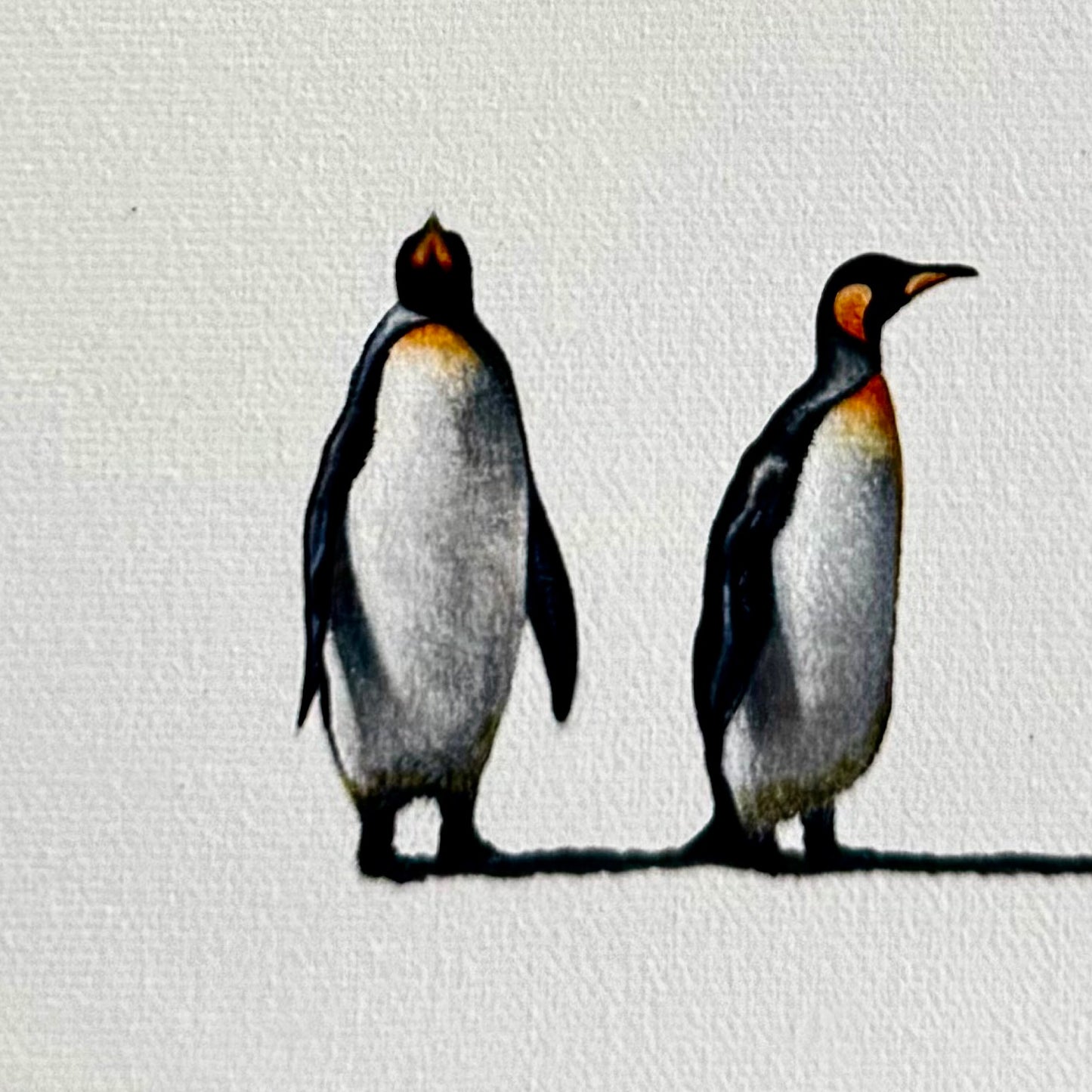 Penguin Group Chat