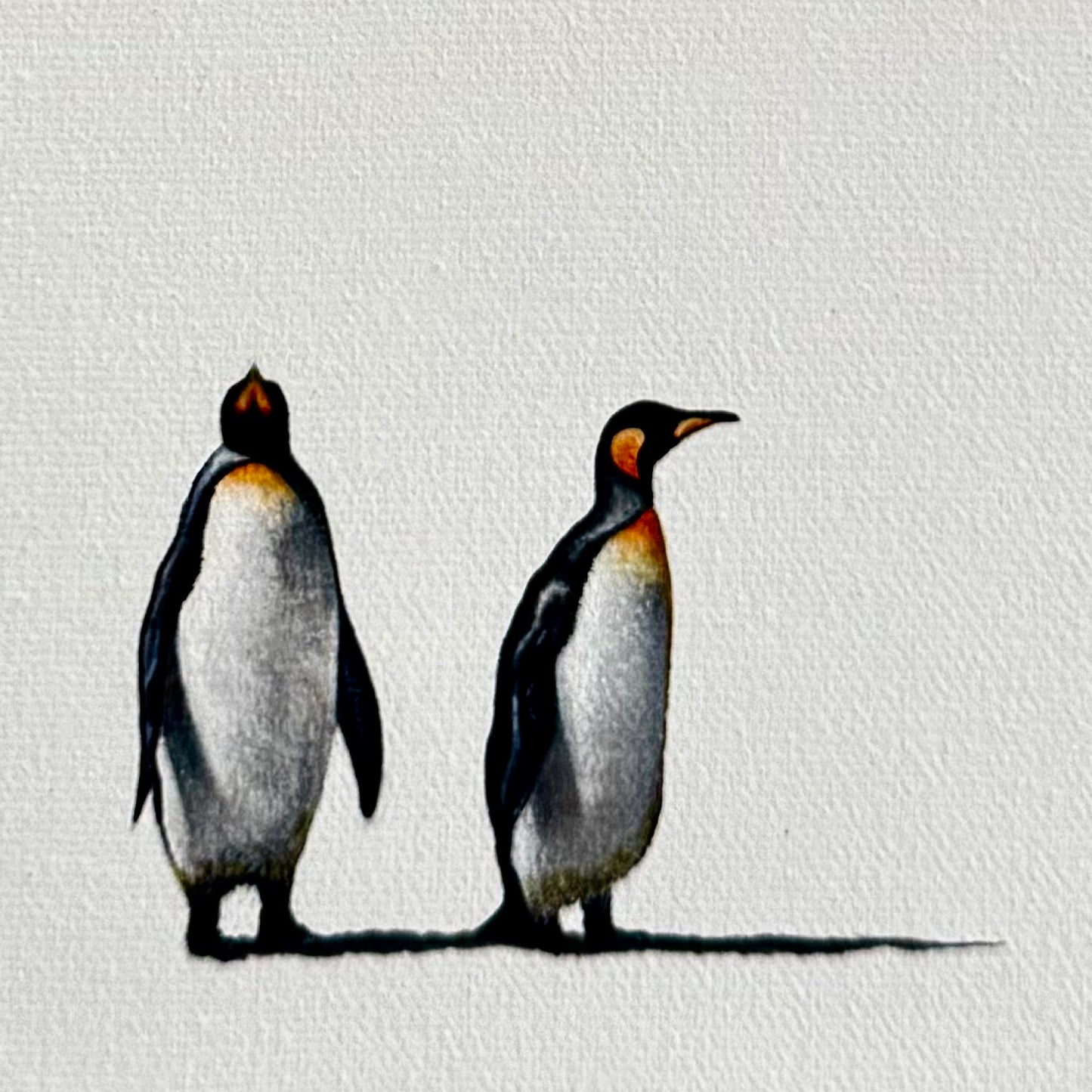 Penguin Group Chat