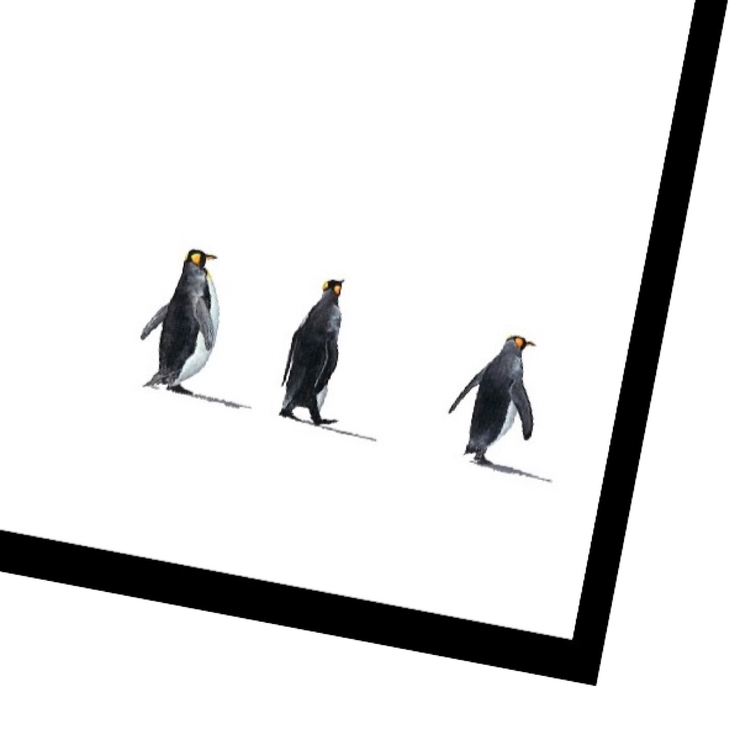 Lost in Antarctica