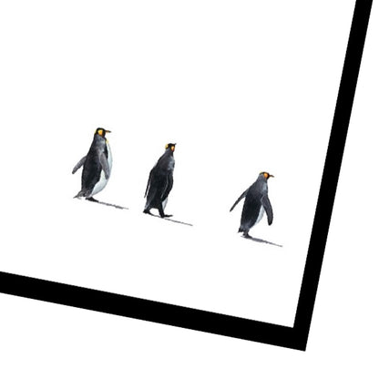 Lost in Antarctica