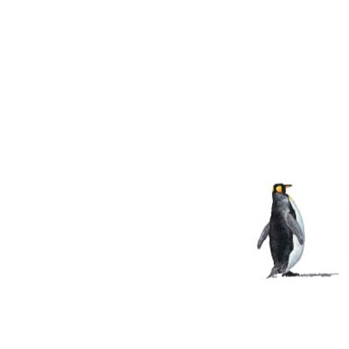 Lost in Antarctica