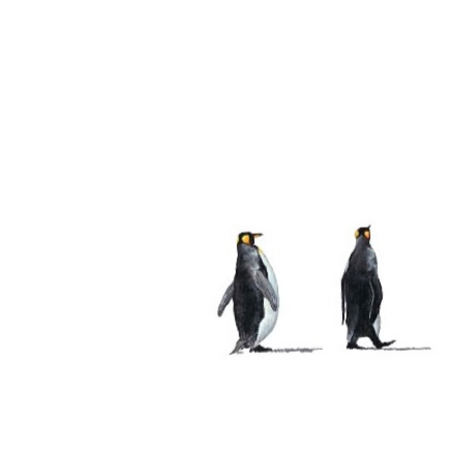Lost in Antarctica