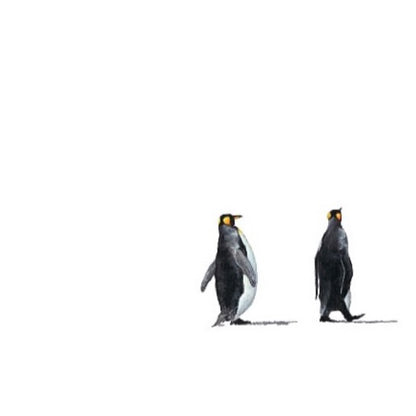 Lost in Antarctica