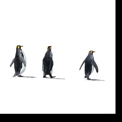 Lost in Antarctica