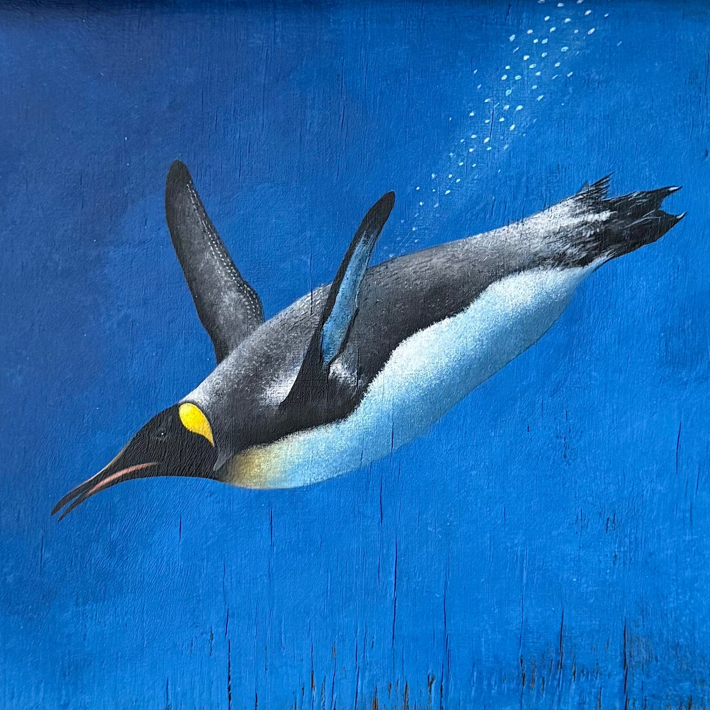 Diving Penguin on Reclaimed Cupboard Door